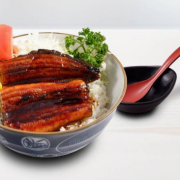 Grilled Eel Don